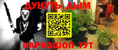 индика Гусиноозёрск