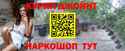 индика Гусиноозёрск