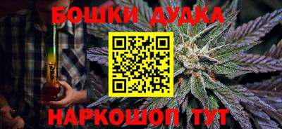 индика Гусиноозёрск